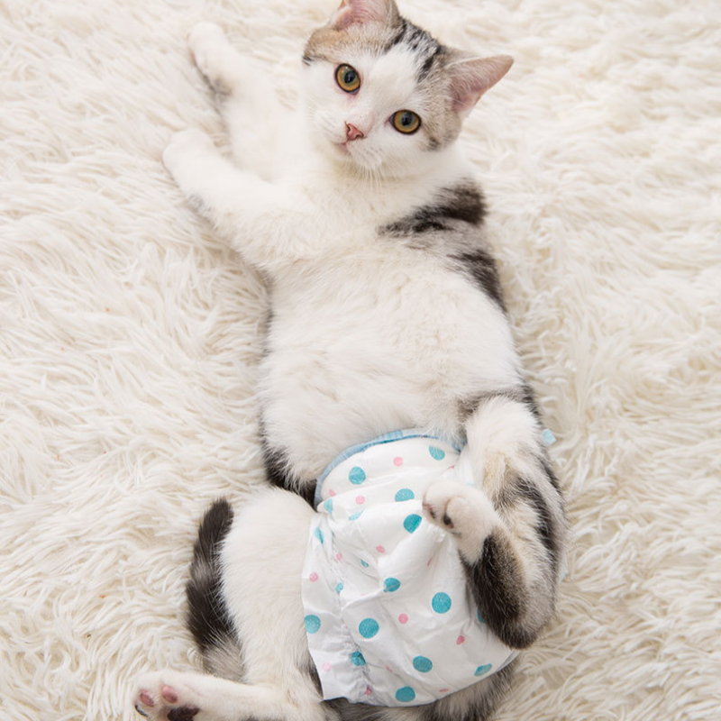 Couches jetables pour animaux de compagnie - Flob